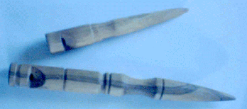reproduction