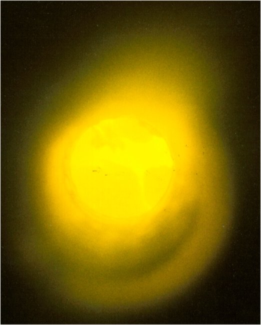 large pic