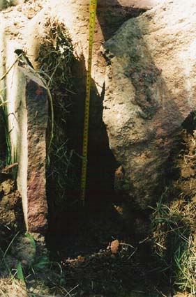 large pic