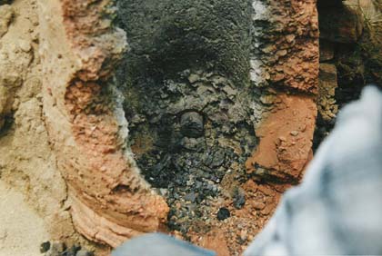 large pic