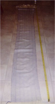 large pic